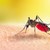 Продължава пръскането срещу комари в Русенско