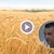 Земеделци от Русе: България загуби пазарите си на зърно