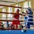 Боксьори се състезаваха за "Купата на кмета" в Русе