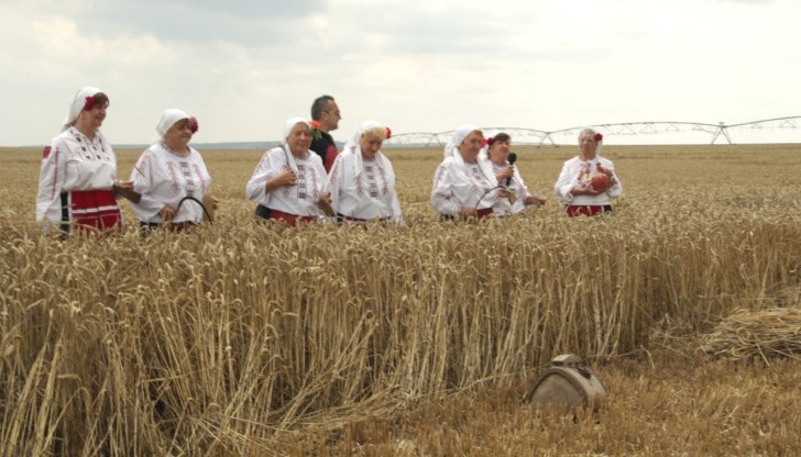 Началото на жътвата е истински празник за земеделските производители