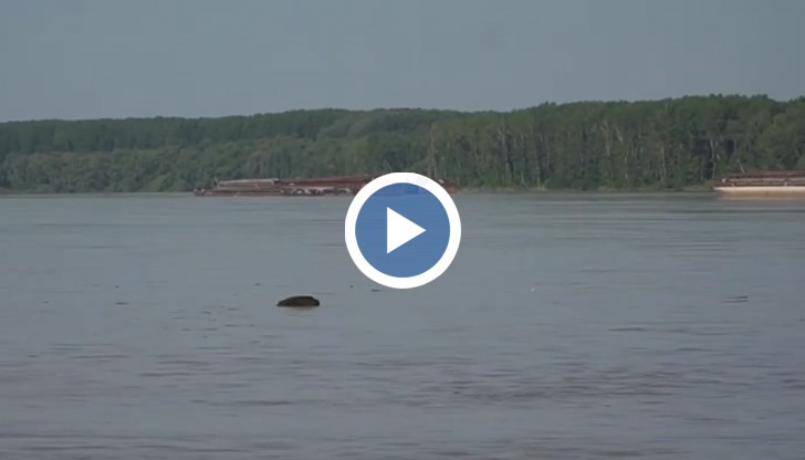 Преди разливът да стигне до България, има два хидровъзела, обясни експерт