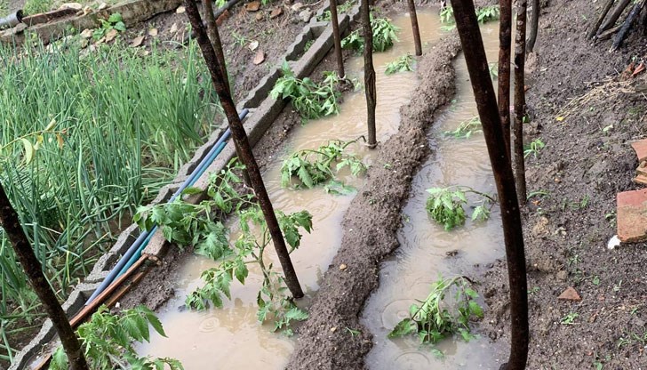 Каква е обстановката в страната след проливните дъждове Каква е обстановката в страната след проливните дъждове