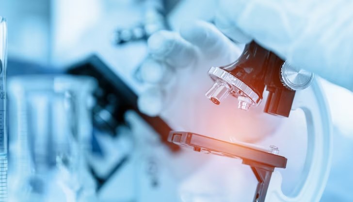 Откритието може да подпомогне разработването на нови лекарства за превенция на алергии