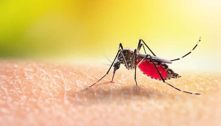 При неблагоприятни метеорологични условия пръскането срещу комари ще се отложи за следващия подходящ работен ден
