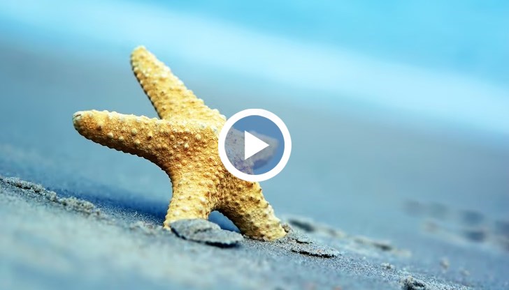 Летният сезон вече е официално открит