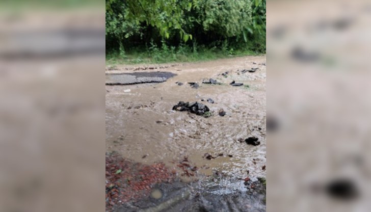 За около час и половина са паднали над 100 литра дъжд За около час и половина са паднали над 100 литра дъжд