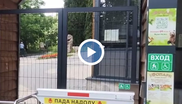 През цялото време животните са били на територията на зоологическата градина