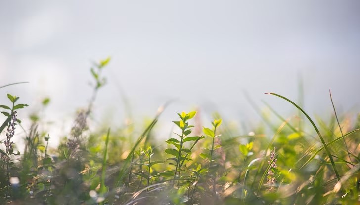 Празникът протича в два дни