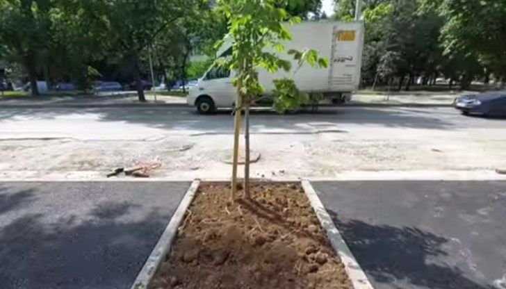 За проблеми при ремонтните дейности на тротоари сподели депутатът Иван Белчев