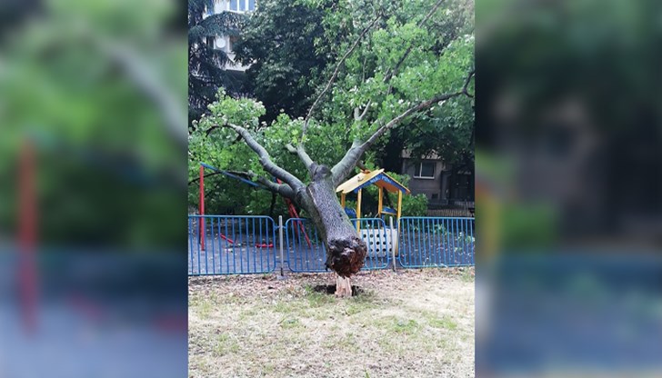 По щастлива случайност пострадали няма