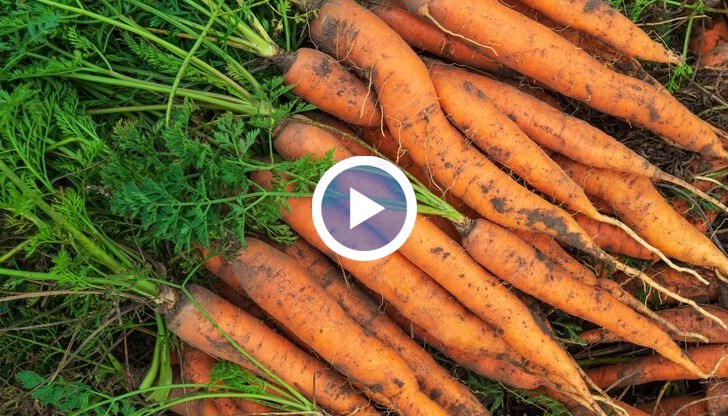 Ще паднат ли цените?