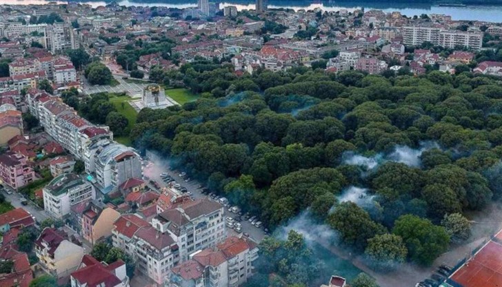 Дезинсекцията ще се осъществи в двата парка, кея и на улица "Александровска"