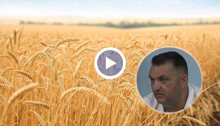 Станимир Станчев: В момента ще бъдем в най-добрия случай на нула като печалба