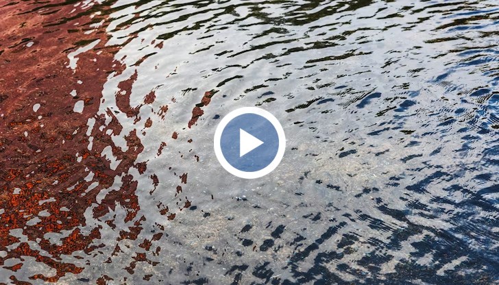 Обявено е бедствено положение