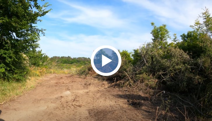 Трупът на животното е извадено с багер