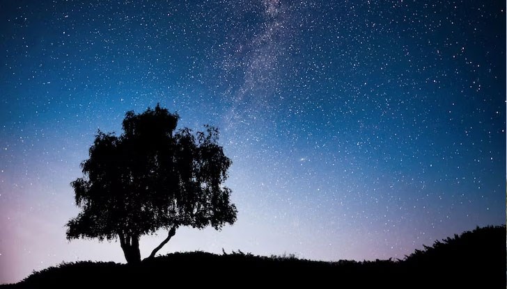 Звездите "слизат на земята", омайват тревите и цветята и им придават лечебна магическа сила