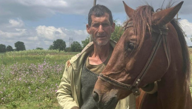 Животното е било подплашено от силен гръм в събота следобед