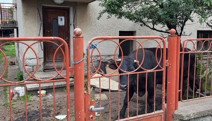 Жената е с опасност за живота