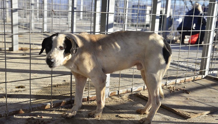 Според българското законодателство трагедията е трудова злополука Според българското законодателство трагедията е трудова злополука