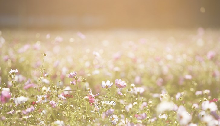 В Източна България и планините в Югозападна явленията ще са по-интензивни В Източна България и планините в Югозападна явленията ще са по-интензивни