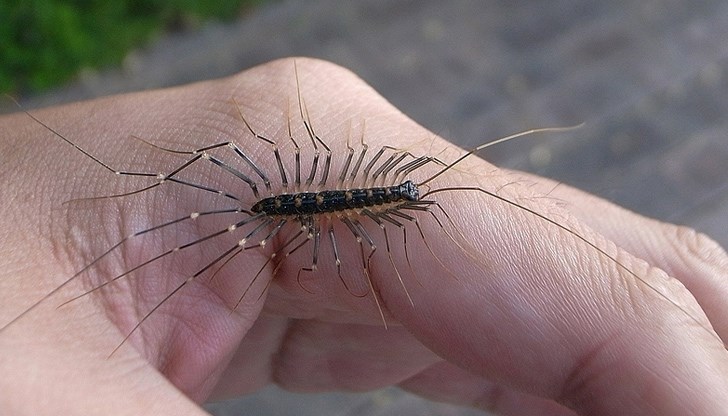 Нека ти разкажа моята история, тогава волята ти ще бъде изпълнена, защото ти си стопанинът на къщата Нека ти разкажа моята история, тогава волята ти ще бъде изпълнена, защото ти си стопанинът на къщата