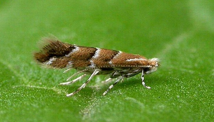 Препоръчително е да се избягва досег с третираните площи Препоръчително е да се избягва досег с третираните площи