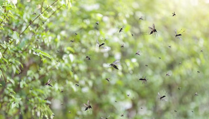 Необходима е спешна държавна помощ, за да се реши проблемът, каза Генчо Генчев