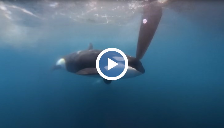 Това беше ужасен момент, сподели капитанът на яхтата