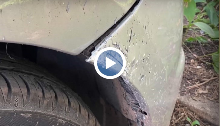 Жената е намерила автомобила си със следи от нокти, лапи и зъби