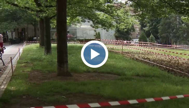 В града тръгнаха слухове, че се готви засаждане на картофи