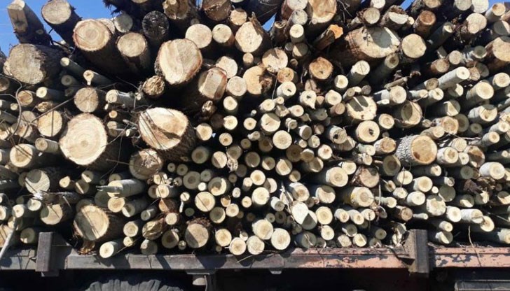 В ремаркето е имало близо 3 кубика дъб В ремаркето е имало близо 3 кубика дъб