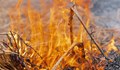 Пожар в сухи треви до жп линията на булевард "Придунавски"
