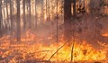 Предупреждение за екстремен риск от пожари в община Бяла
