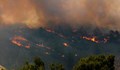 Фотограф: Зад пожарите в Гърция се крият изгоди