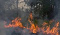 Голям горски пожар пламна край село Свирачи