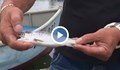 Необичайни явления в морския улов у нас