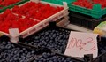 Цената на малините удари невиждан рекорд