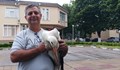 Служители от Община Кубрат спасиха щъркелче в беда