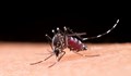 Хора с кръвна група 0 са двойно по-предпочитани от комарите
