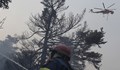 Гърция "осинови" нероденото дете на пилот, загинал при гасенето на пожарите