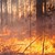 Предупреждение за екстремен риск от пожари в община Бяла