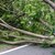 Четири сигнала за паднали дървета по пътищата в Русенско
