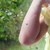 Комари продължават да тормозят жителите на Русе