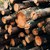 ДПС искат поголовна сеч на горите в България