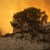 10 процента от остров Родос изгоря