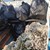 Морето край Варна изхвърли тонове мокри кърпички