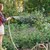 Забраниха поливането на градини с питейна вода в Шуменско