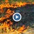 Пожар гори край Карнобат