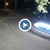Община Русе пусна видеозапис с вандала, вилнял в Парка на младежта