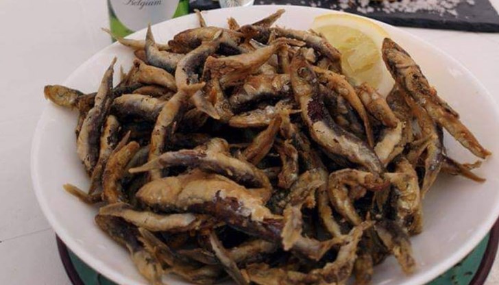 Една от най-високите цени, споделени от туристите, е в Златни пясъци